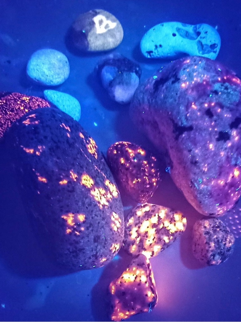 Lake Michigan Great Lakes Pallet. Yooperlites, fossils, beach glass, hag stones. - Picture 7 of 16